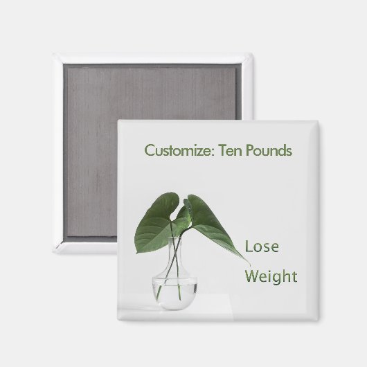 Doelstellingen van minder gewicht magneet (Voorkant / Achterkant)