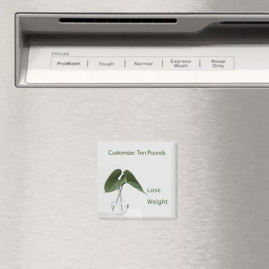 Doelstellingen van minder gewicht magneet (Insitu (Vaatwasser))