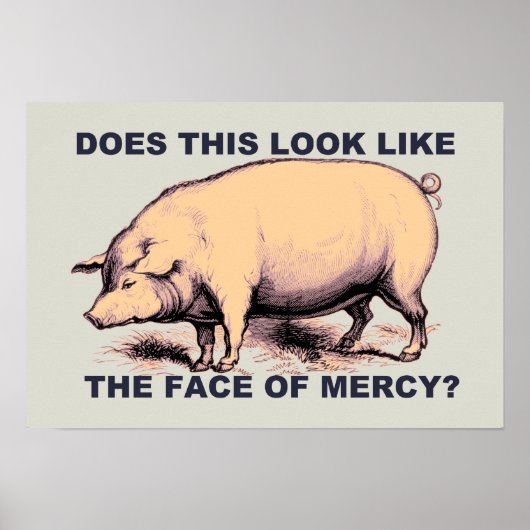 Does This Look Like The Face of Mercy?  Grumpy Pig Poster (Voorkant)