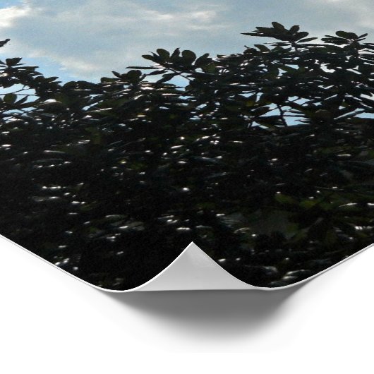 Doet 16:31 Geloof op de Heer Jezus Christus... Poster (Hoek)