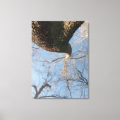 Doet de limiet canvas afdruk (Voorkant)