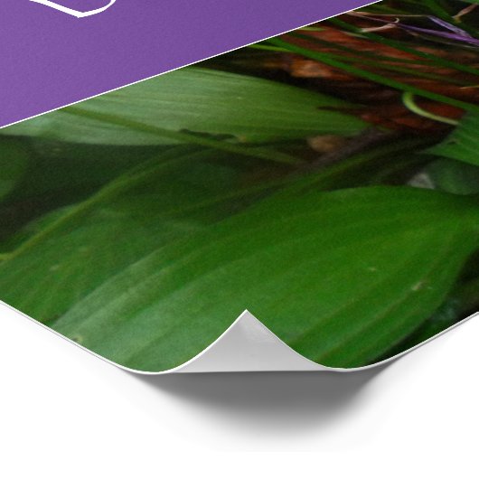 Doet geen woord wijsheid gezegde foto poster (Hoek)