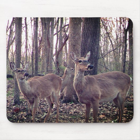 Doet op het Boerderij Muismat (Voorkant)