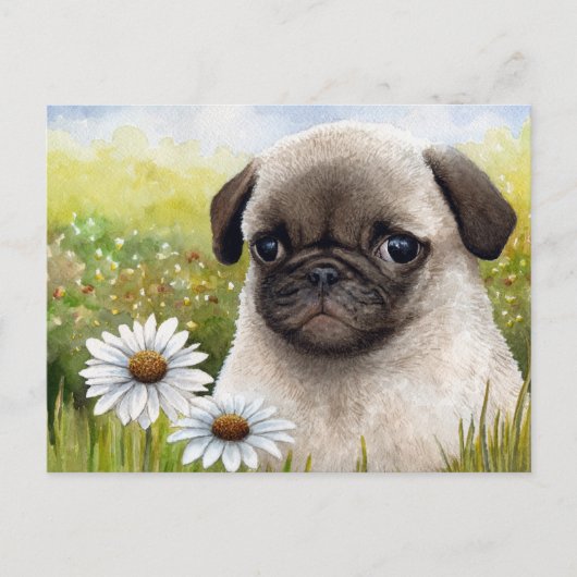 Dog 114 briefkaart (Voorkant)