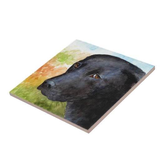 Dog 115 Black Labrador Tegeltje (Zijkant)