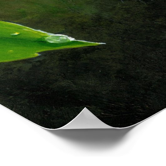 Dog 116 Beagle Poster (Hoek)