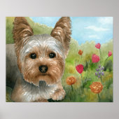 Dog 117 Yorkshire Poster (Voorkant)