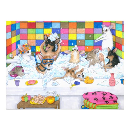 Dog 121 Funny Chihuahua in bad Foto Afdruk (Voorkant)