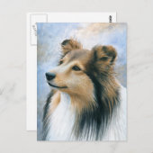 Dog 122 Sheltie Collie Briefkaart (Voorkant / Achterkant)