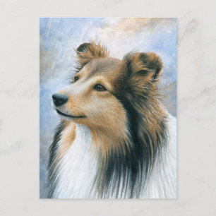 Dog 122 Sheltie Collie Briefkaart