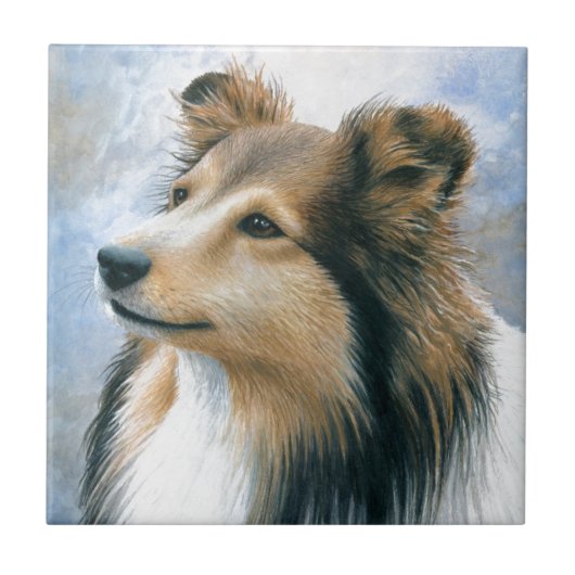 Dog 122 Sheltie Collie Tegeltje (Voorkant)