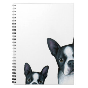 dog 128 Boston Terrier Notitieboek