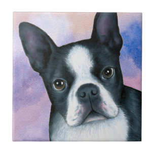dog 128 color Boston Terrier Tegeltje