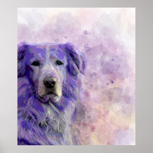Dog 140 Golden Retriever Poster (Voorkant)