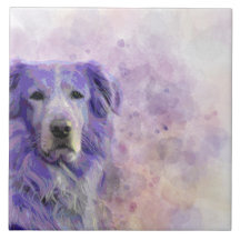 Dog 140 Golden Retriever