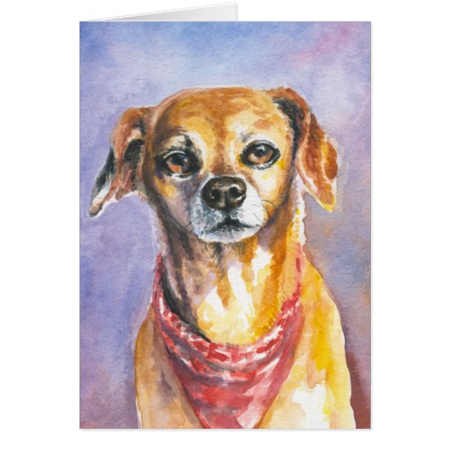 Dog 2 (Voorkant)