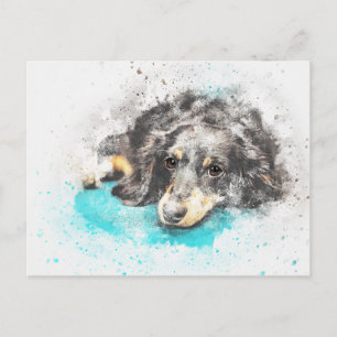 dog-2719601_1920 briefkaart