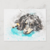 dog-2719601_1920 briefkaart (Voorkant)