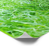 dog-280332 YOUNG DOG BLACK PUPPY SCHATTIGE PETS GR Poster (Hoek)