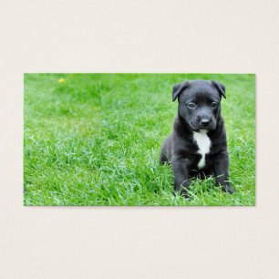 dog-280332 YOUNG DOG BLACK PUPPY SCHATTIGE PETS GR Visitekaartje