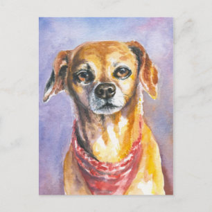 Dog 2 briefkaart