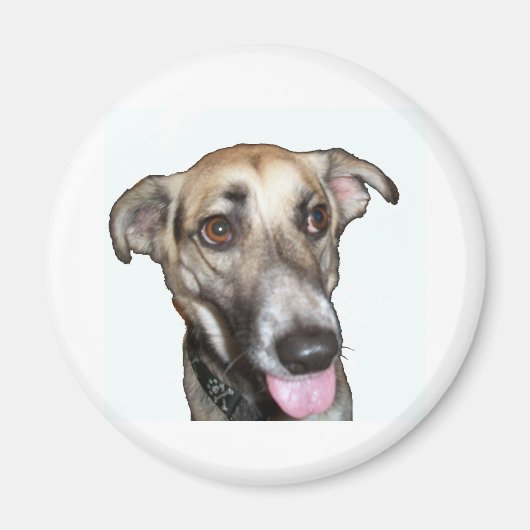 Dog 2, Magnet (Voorkant)