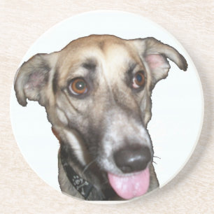 Dog 2 Onderzetter