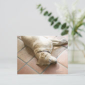 Dog 3 briefkaart (Staand voorkant)