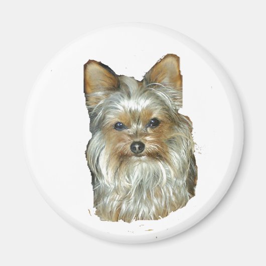 Dog 4B, Yorkshire Terrier, Magnet (Voorkant)