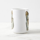 Dog 4B, Yorkshire Terrier, Mok (Center)