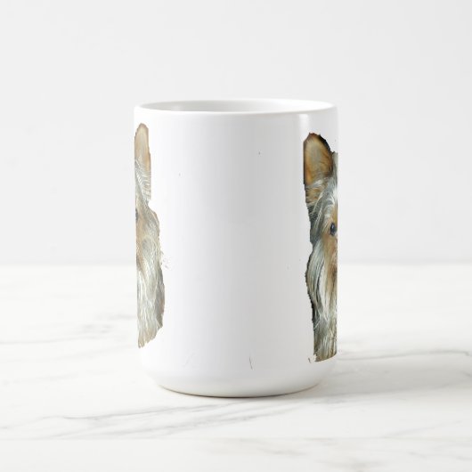 Dog 4B, Yorkshire Terrier, Mok (Center)