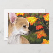 Dog 94 Chihuahua Briefkaart (Voorkant / Achterkant)