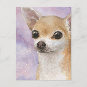 Dog 95 Chihuahua Briefkaart