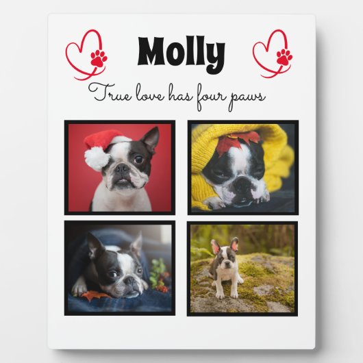 Dog aangepast collage 4 foto's fotoplaat (Voorkant)
