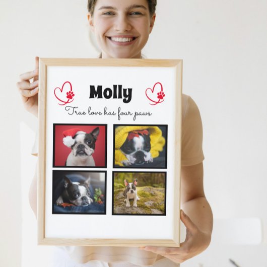Dog aangepast collage 4 foto's fotoplaat