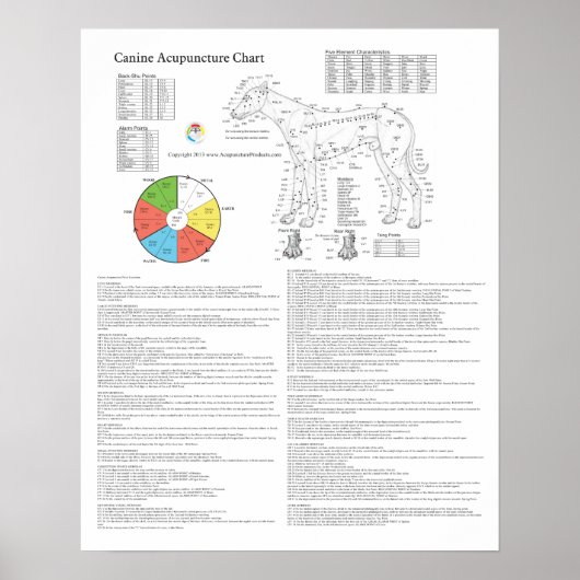 Dog Acupressiekaart Acupunctietabel Poster (Voorkant)