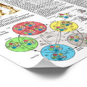 Dog Acupunctuur Punten Locaties Poster (Hoek)