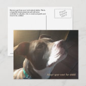 Dog Adoption Shelter Pets Briefkaart (Voorkant / Achterkant)