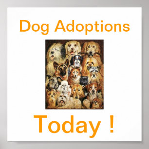 Dog Adoptions Today Signs Poster