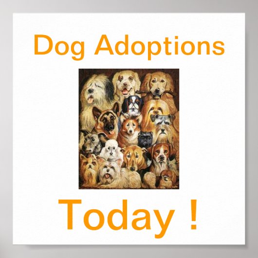 Dog Adoptions Today Signs Poster (Voorkant)