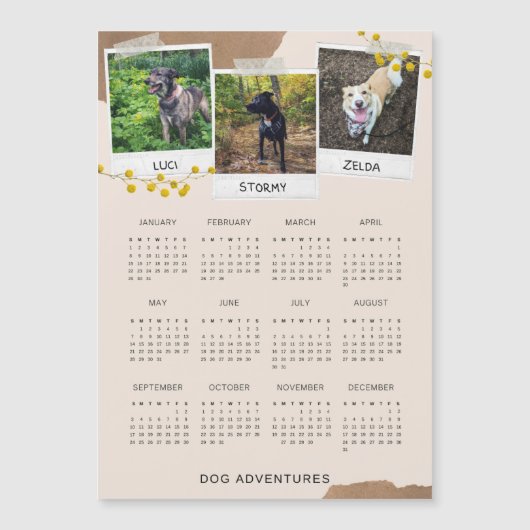 Dog Adventures Cute 2023 Magnetic Calendar (Voorkant)