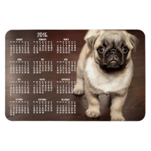 Dog agenda 2016 Foto groot magneet, 4x6 Magneet