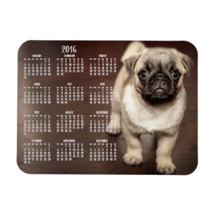 Dog agenda 2016 Foto Small Magnet 3x4 Magneet