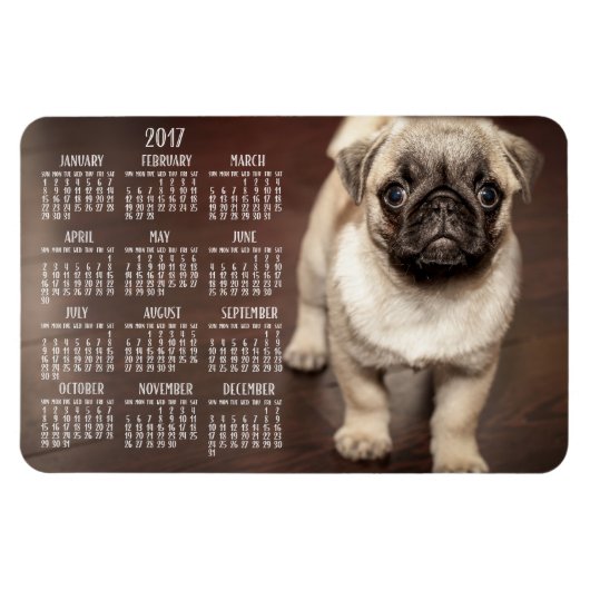 Dog agenda 2017 Foto groot magneet, 4x6 Magneet (Horizontaal)