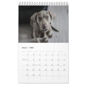 Dog Agenda 2023 Kalender (Mar 2026)