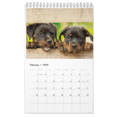 Dog Agenda 2023 Kalender (Feb 2026)