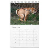 Dog Agenda 2023 Kalender (Feb 2027)