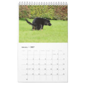 Dog Agenda 2023 Kalender (Jan 2027)
