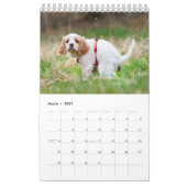 Dog Agenda 2023 Kalender (Mar 2027)