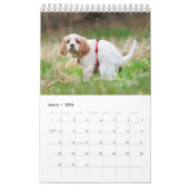 Dog Agenda 2023 Kalender (Mar 2026)